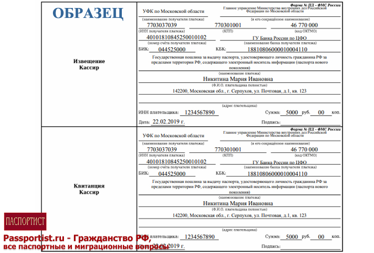 Как узнать реквизиты для оплаты госпошлины