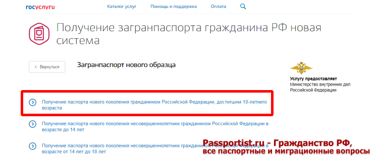 Загранпаспорт нового образца через Госуслуги