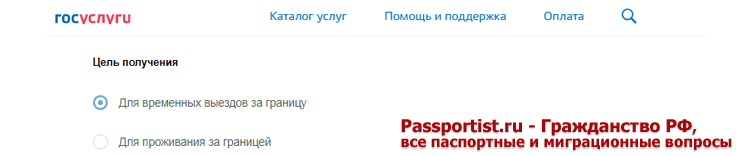 Инструкция по подаче заявления через Госуслуги ребенку