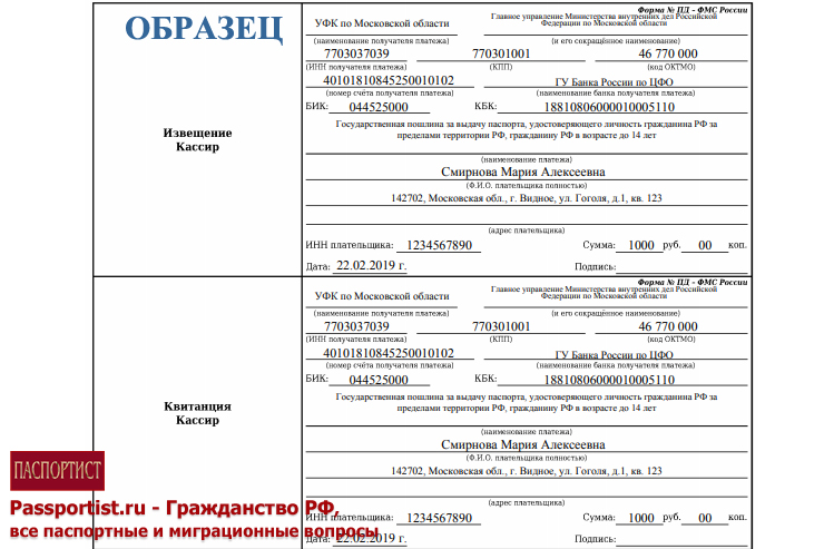 Квитанция на загранпаспорт старого образца для ребенка до 14 лет