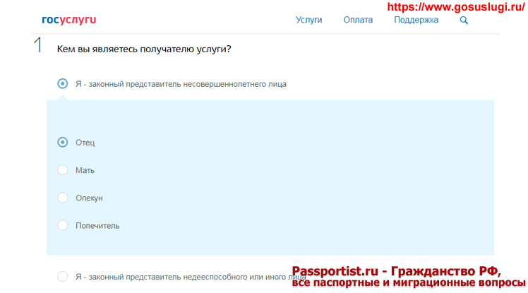 Как правильно заполнить заявление на загранпаспорт старого образца для ребенка 14-18 лет через Госуслуги